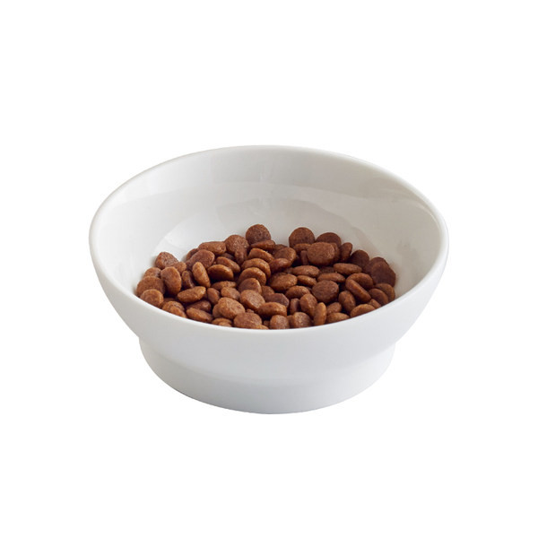 Bol în alb cu o inscripție potrivită pentru pisici