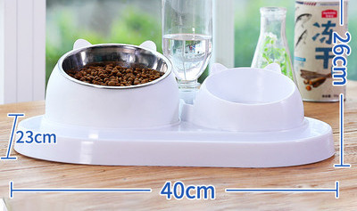 Kahekordne kauss vee ja toidu jaoks – kassile