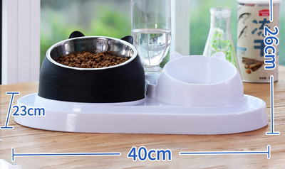 Kahekordne kauss vee ja toidu jaoks – kassile