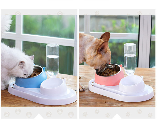 Kahekordne kauss vee ja toidu jaoks – kassile