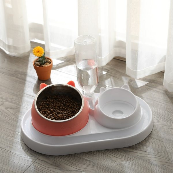 Kahekordne kauss vee ja toidu jaoks – kassile