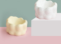 Bol din ceramica pentru mancarea pisicilor