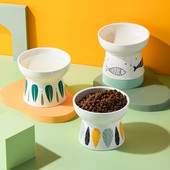 Μπολ με χρωματιστό σχέδιο