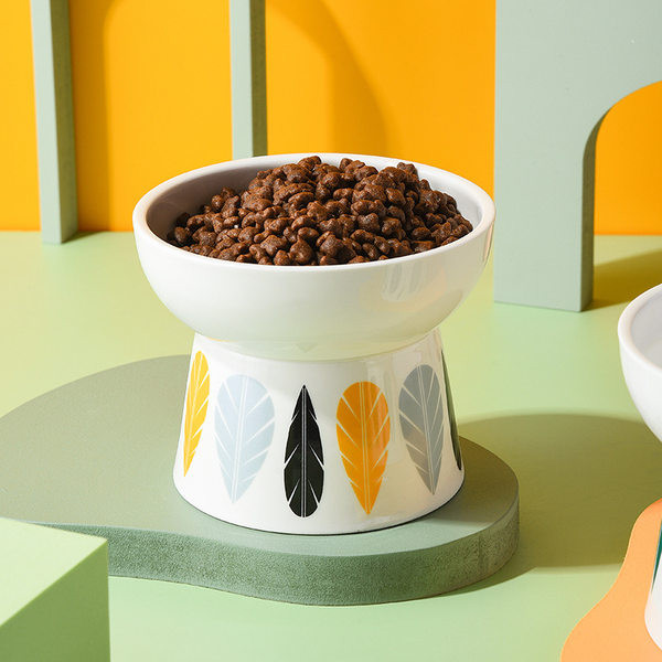 Μπολ με χρωματιστό σχέδιο