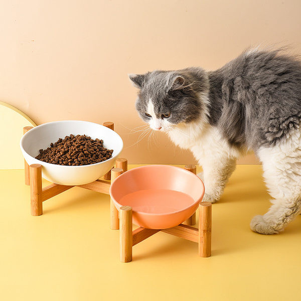 Μπολ φαγητού με βάση