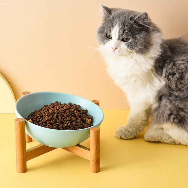 Μπολ φαγητού με βάση