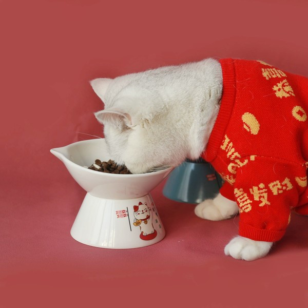 Керамична купа за храна на котки в бял,розов и син цвят