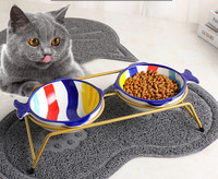 Χρωματιστό κεραμικό μπολ για γατοτροφή