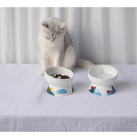 Bol rotund din ceramică pentru hrana pisicilor