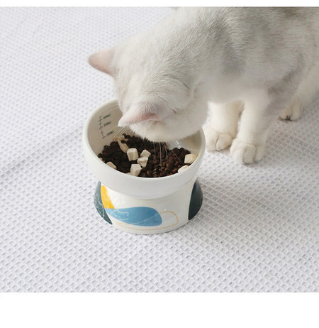Bol rotund din ceramică pentru hrana pisicilor
