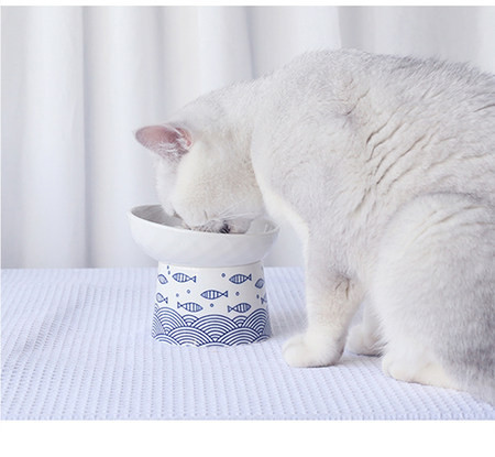 Bol din ceramica pentru mancare pentru pisici - doua modele
