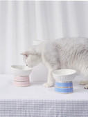 Κεραμικό μπολ για γάτες σε δύο χρώματα