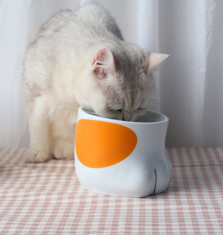 Kassi kauss keraamiline kaldus suu kõrge kauss kallutamisvastane koera kausi kaitse emakakaela vitro kassi potatt veekauss lemmikloomatarbed