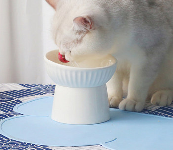 Κεραμικό μπολ γάτας για γατοτροφή