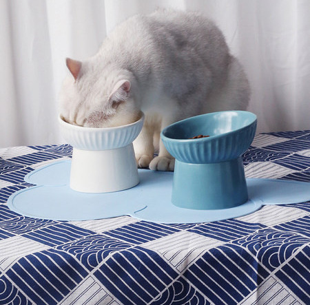 Bol din ceramică pentru pisici pentru mâncare