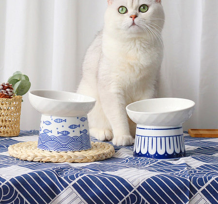 Bol din ceramică pentru pisici - două culori