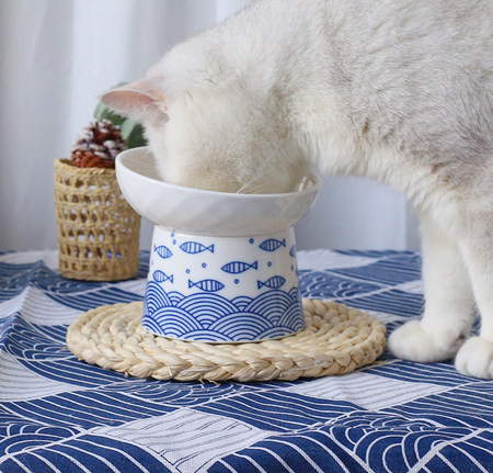 Bol din ceramică pentru pisici - două culori