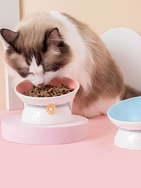 Bol cu flori potrivit pentru hrana pisicilor