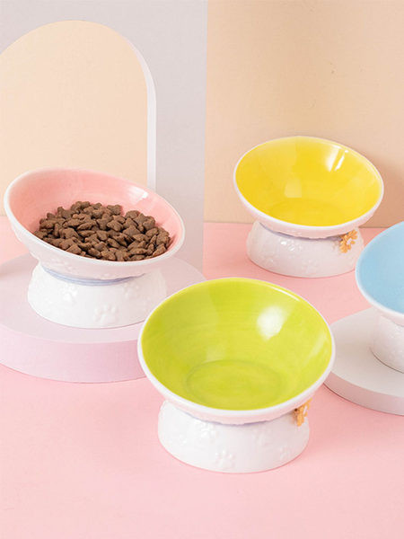 Bol cu flori potrivit pentru hrana pisicilor