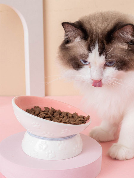 Bol cu flori potrivit pentru hrana pisicilor