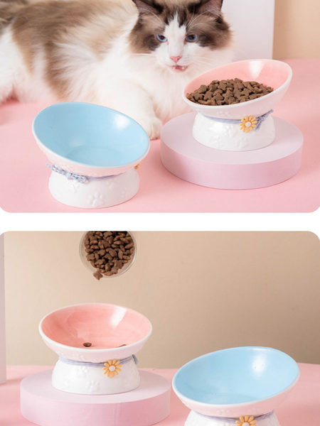 Bol cu flori potrivit pentru hrana pisicilor