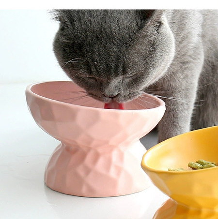 Κεραμικό μπολ για γατοτροφή
