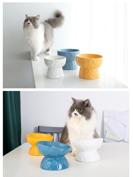 Κεραμικό μπολ για γατοτροφή