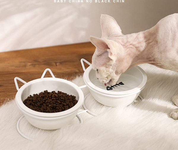 Kahekordne metallist alusega kauss kassidele