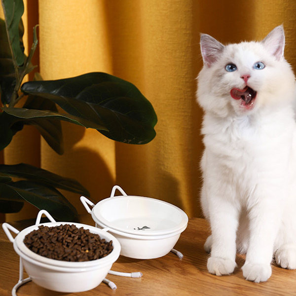 Kahekordne metallist alusega kauss kassidele