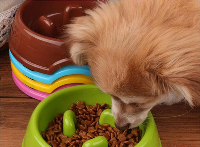Купа за бавно хранене за котки и кучета