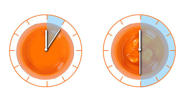 Bol cu mâncare pentru pisici și câini