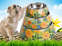 Bol rotund colorat pentru hrana pentru pisici sau caini