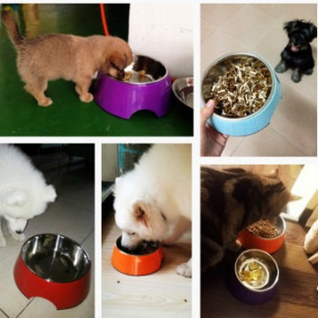 Цветна кръгла купа за храна на котки или кучета