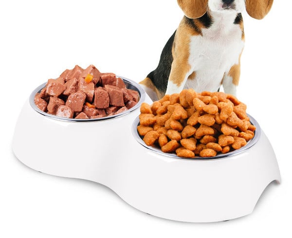 Toidu- ja veekauss lemmikloomadele