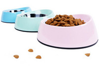 Bol din oțel inoxidabil pentru hrană pentru pisici