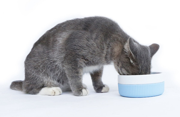 Кръгла котешка купа за храна