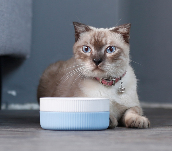 Кръгла котешка купа за храна