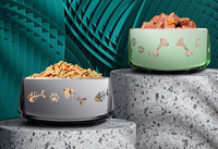 Ümmargune kassitoidukauss