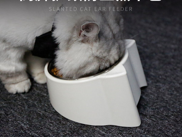 Bol în alb și albastru pentru animale de companie