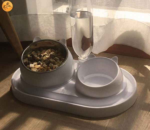 Kahekordne kauss veeautomaatiga kassidele