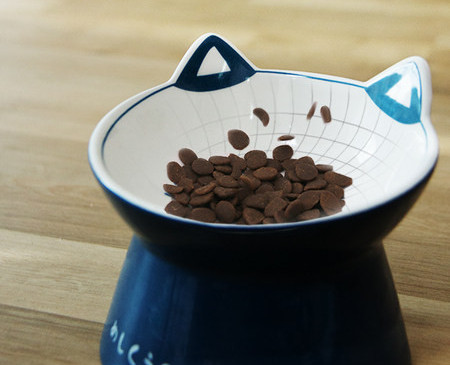 Mitmes mudelis keraamiline kauss kassidele