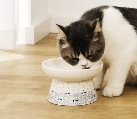 Mitmes mudelis keraamiline kauss kassidele