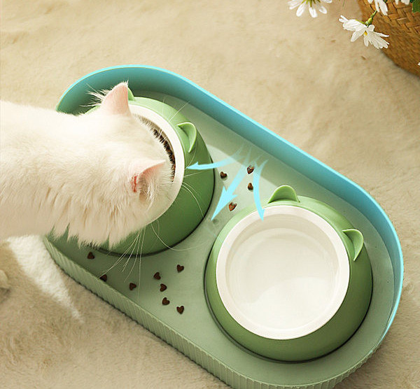 Kahekordne kauss kassitoidu jaoks - kaks mudelit