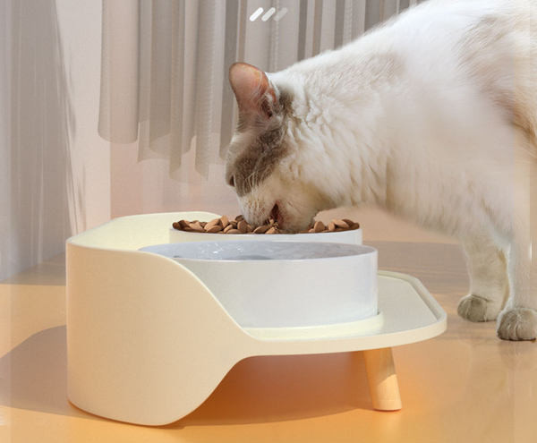 Bol dublu pentru mancare pentru pisici - doua culori