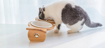 Μπολ με τροφή και νερό για γάτες σε διαφορετικά μοντέλα