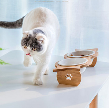 Μπολ με τροφή και νερό για γάτες σε διαφορετικά μοντέλα