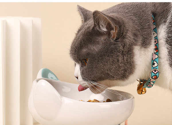 Bol cu decor 3D - pentru pisici