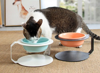 Κεραμικό μπολ με βάση για γατοτροφή