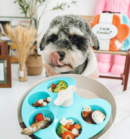 Silikoonist kauss kassitoidu jaoks