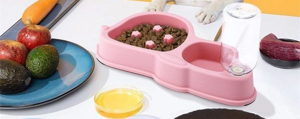 Bol dublu din plastic cu dozator de apa pentru pisici